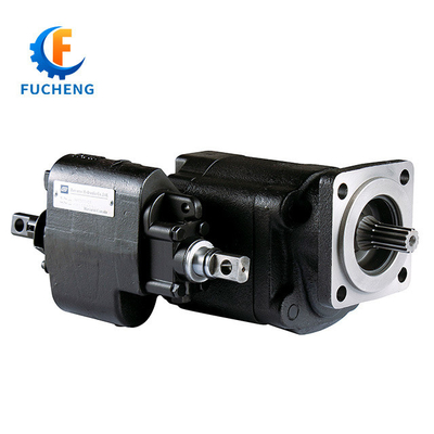 Internationale standaard gietijzer hydraulische tandwielpomp voor dumper C101 C102 G101 G102