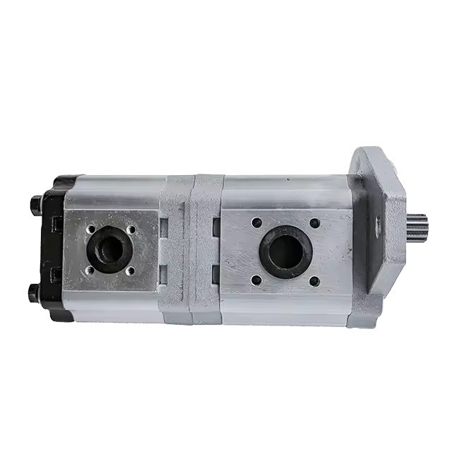 Standaard 20cc 20cc Aluminium Hydraulische Gear Pomp Dubbele Pomp voor Machinery van Fucheng