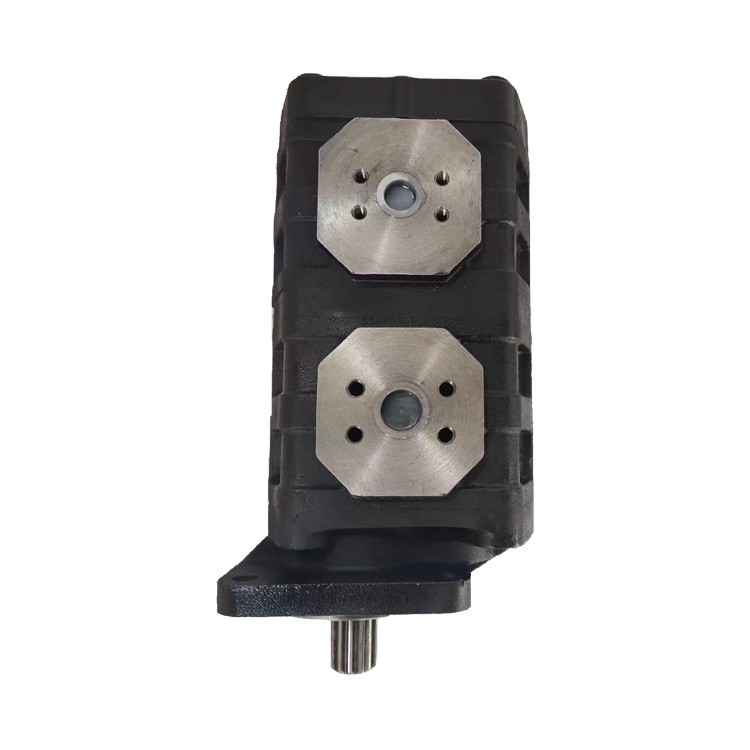 Standaard gietijzeren aluminium hydraulische pomp Cbgj2063/2050R Verplaatsing 63 Ml/R Series Gear Pump